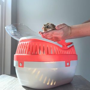 Trixie Pico Transport Crate – Portable Pet Carrier Great for On-The-Go – Traveling Cage for Small Pets, Hamsters, Guinea Pigs, Lizards, and More