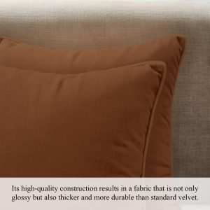A1HC Set of 2 Luxurious Fine Soft Velvet Throw Pillow Covers Only, for Sofas, Beds, Vibrant Colors and Hidden Zipper. Enhance Your Living Space with Decorative Couch Pillow 20″x20″, Burnt Caramel