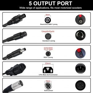 EVAPLUS 5 in 1 Plugs 54.6V Fast Charger, Universal for 48V 13S Lithium Batteries, Pinkind 48V Li-ion Battery Charger Replacement for Razor, Jetson, Voyage, Gotrax, Ninebot,Segway, Hiboy